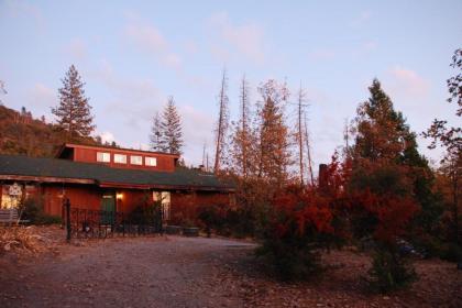 Sunny Pines Cottage - image 4