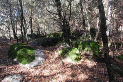 Sierra Trails Inn - image 8