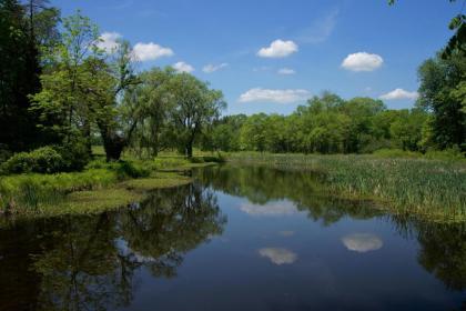 Danskammer House Bed & Breakfast - image 11