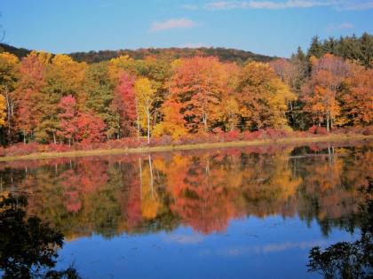 Danskammer House Bed & Breakfast - image 15