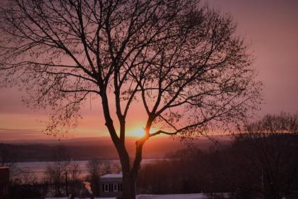 Danskammer House Bed & Breakfast - image 9