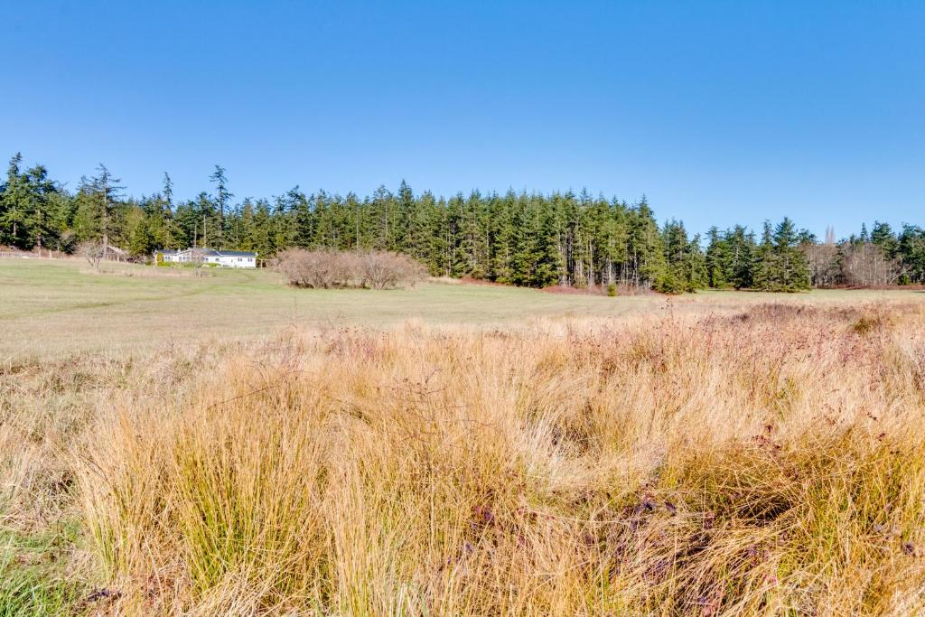 Marrowstone Island Beach Home - image 7