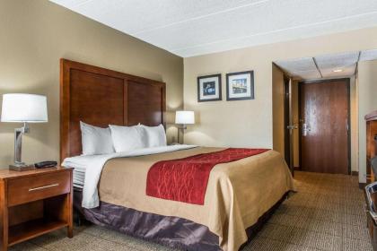 Comfort Inn Cranberry Township - image 5