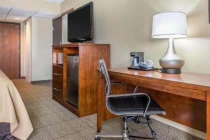 Comfort Inn Cranberry Township - image 9