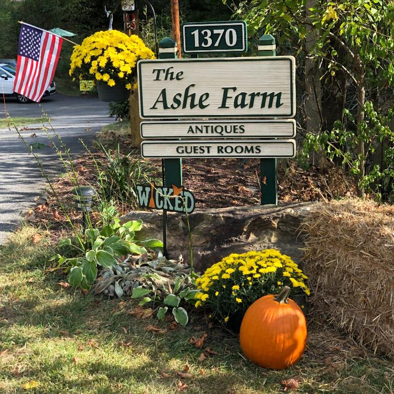 The Ashe Farm - main image