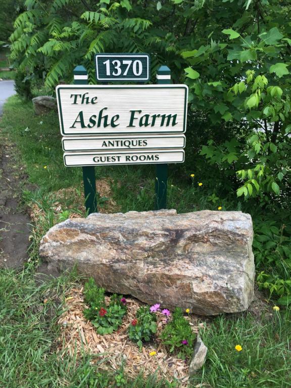 The Ashe Farm - image 5