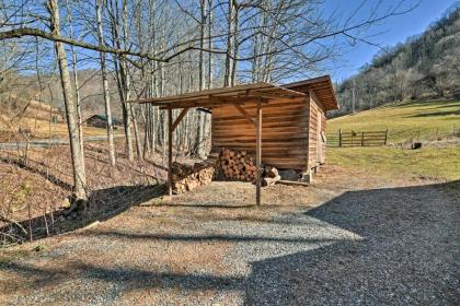 Secluded Marshall Cottage with Hot Tub and Mtn Views! - image 3