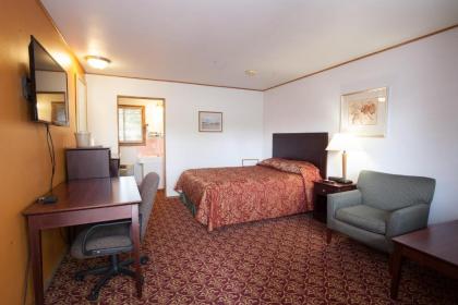 Park Motel - image 14