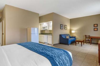 Comfort Inn Martinsburg - image 10