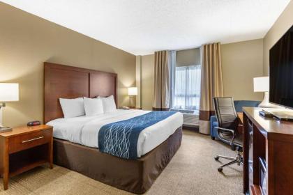 Comfort Inn Martinsburg - image 14