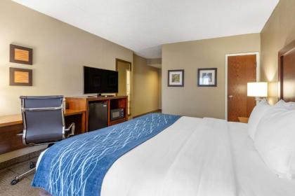 Comfort Inn Martinsburg - image 15