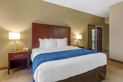 Comfort Inn Martinsburg - image 9