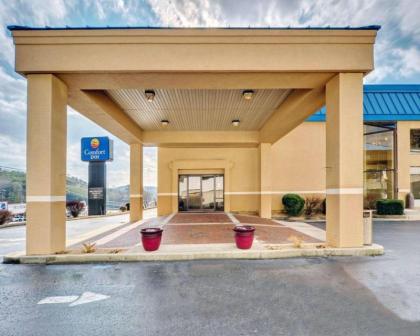 Comfort Inn Martinsville - image 14