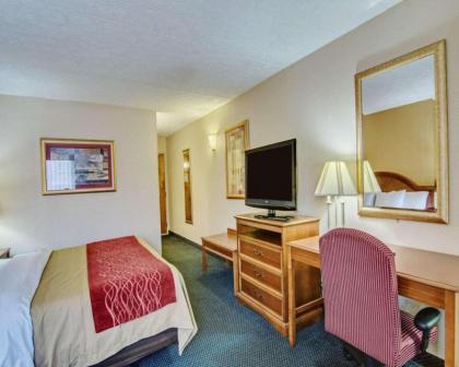 Comfort Inn Martinsville - image 5