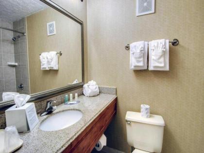 Comfort Inn Martinsville - image 7