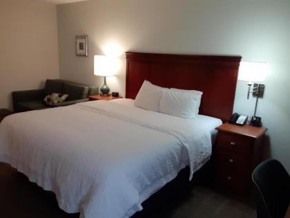 Hampton Inn St. Louis - Westport - image 15