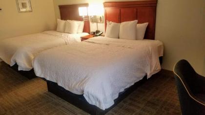 Hampton Inn St. Louis - Westport - image 4