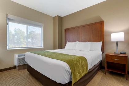 Comfort Suites Marysville-Yuba City - image 11