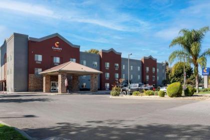 Comfort Suites Marysville-Yuba City - image 3