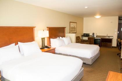 Holiday Inn Express & Suites - Mason City an IHG Hotel - image 8