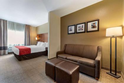 Comfort Suites Mason - image 2