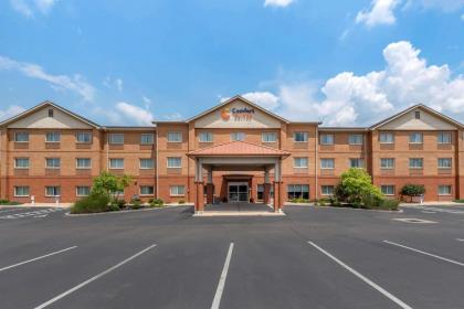 Comfort Suites Mason - image 6