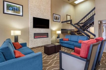 Comfort Inn Matthews / Charlotte - image 7