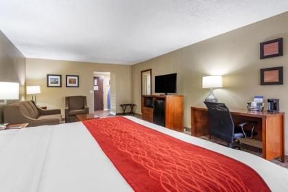 Comfort Inn Matthews / Charlotte - image 8