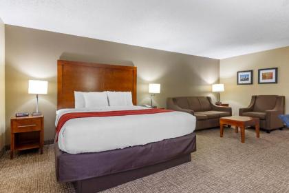 Comfort Inn Matthews / Charlotte - image 9