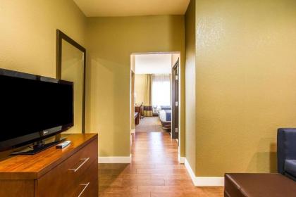 Comfort Suites Mattoon Illinois - image 11