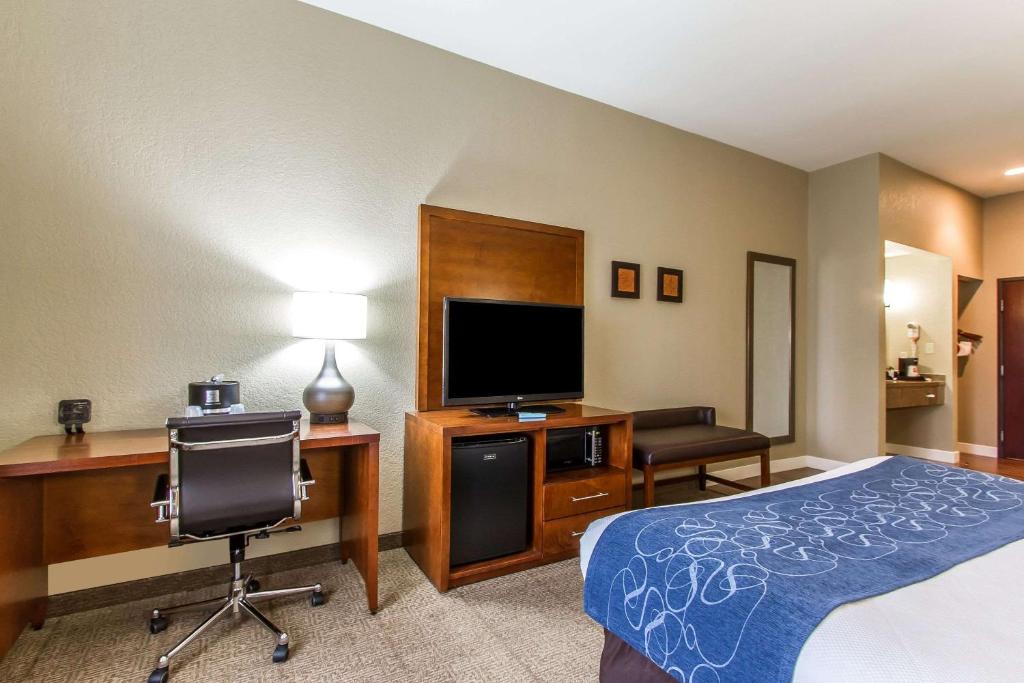 Comfort Suites Mattoon Illinois - image 4