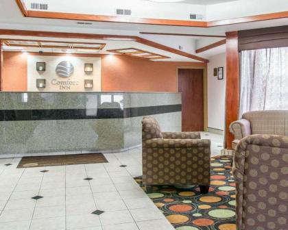 Comfort Inn Maumee - Perrysburg Area - image 11