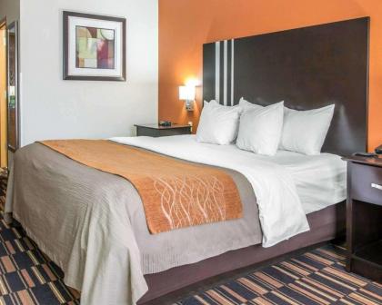 Comfort Inn Maumee - Perrysburg Area - image 7