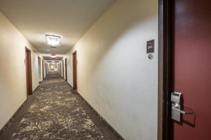 Red Roof Inn Toledo - Maumee - image 13