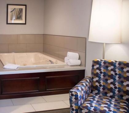 Best Western Toledo South Maumee - image 9