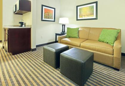 Holiday Inn Express & Suites Maumelle an IHG Hotel - image 13