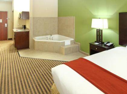 Holiday Inn Express & Suites Maumelle an IHG Hotel - image 8