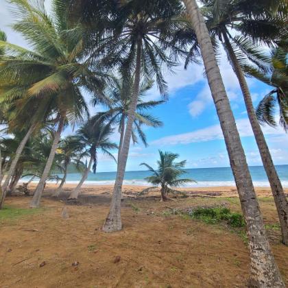 Parador Maunacaribe - Maunabo - image 8