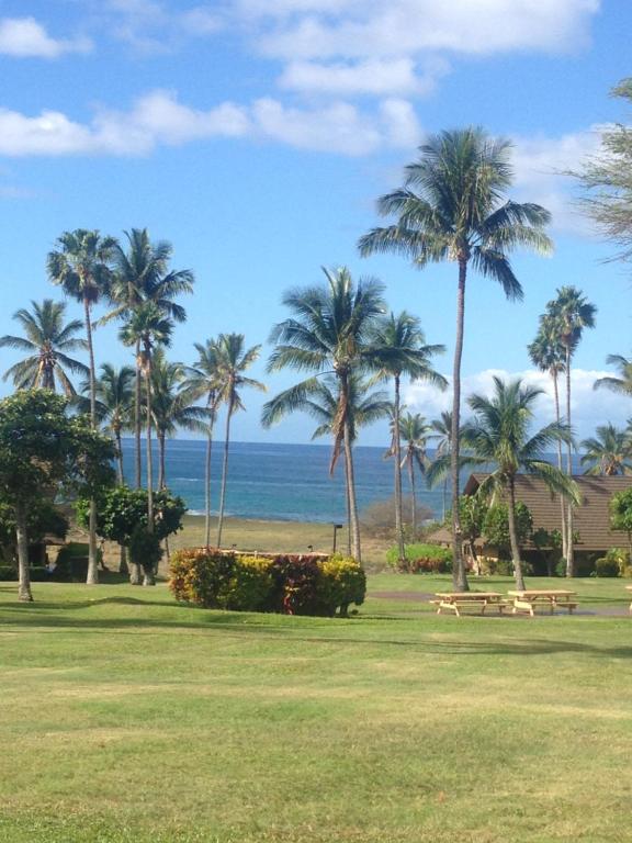 Molokai Ocean View Condo - image 5