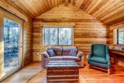 McCall Cozy Cabin - image 3