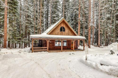 Forest Cabin - main image