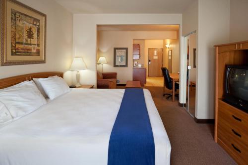 Holiday Inn Express Hotel & Suites Mission-McAllen Area an IHG Hotel - image 2