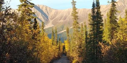 Blackburn Cabins - McCarthy Alaska - image 9