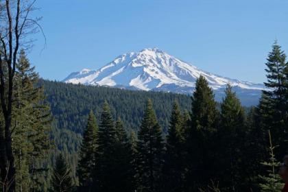 Log Home on 40 Private Acres By Mt Shasta Ski Park - image 10