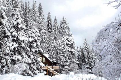 Log Home on 40 Private Acres By Mt Shasta Ski Park - image 13