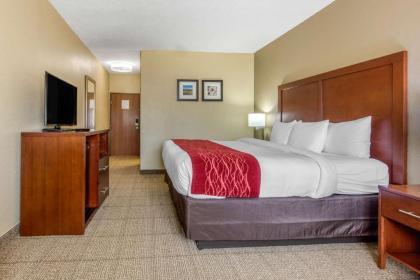 Comfort Inn & Suites - image 12