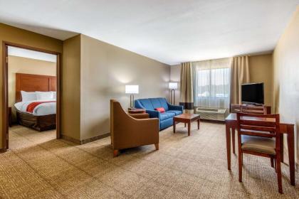 Comfort Inn & Suites - image 3