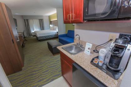 Holiday Inn Express Hotel & Suites McDonough an IHG Hotel - image 8