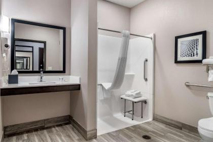 Comfort Suites McDonough Atlanta South - image 10