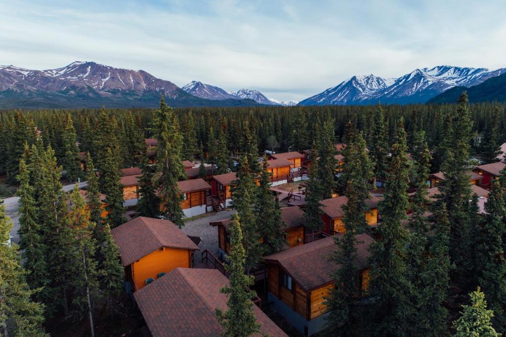 Denali Cabins - main image